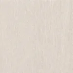 PNT 02 Ice Gray Wood