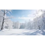 MausePAD (Bosque de Escarcha) Invierno - Imagen 3