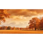 MausePAD (Horizonte) Otoño - Imagen 3