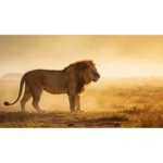 MausePAD (Leon 2) Animales - Imagen 3