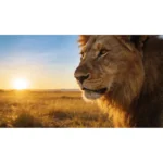 MausePAD (Leon 3) Animales - Imagen 3
